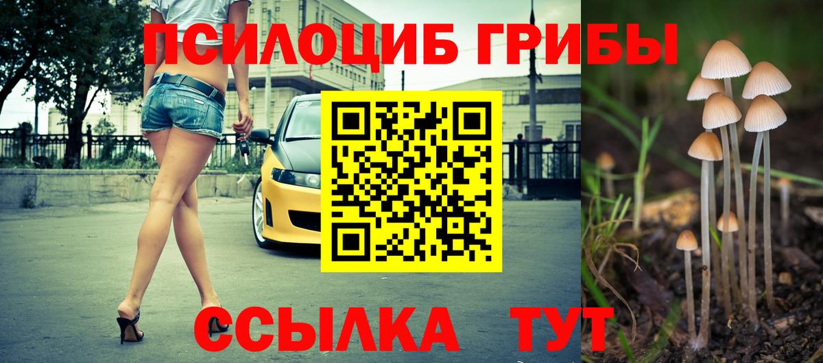 Галлюциногенные грибы мицелий Майкоп