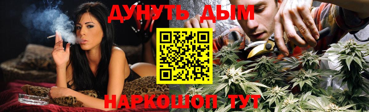 Каннабис планчик  МАРИХУАНА OG Kush  Майкоп  Вход с VPN 