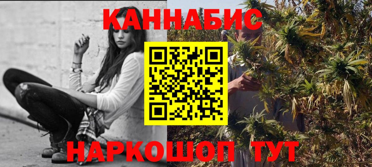 Канабис планчик Майкоп